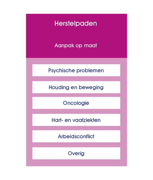 Re-integratie-aanpak-model-herstelpaden